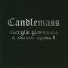 Candlemass : Dactylis glomerata & Absrakt algebra II