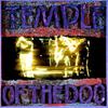 Temple Of The Dog : Temple Of The Dog