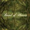 Band Of Horses : Everything all the Time