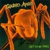 Guano Apes : Don't give me names