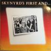 Lynyrd Skynyrd : Skynyrd's First And... Last