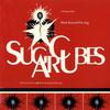 Sugarcubes : Stick around for joy