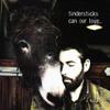 Tindersticks : Can Our Love...