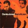Danko Jones : Born a lion
