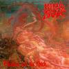 Morbid Angel : Blessed are the sick
