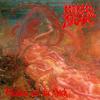 Morbid Angel : Blessed Are The Sick