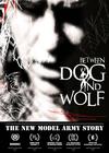 New Model Army : The New Model Army story: between dog and wolf