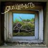 Guillemots : Through the windowpane