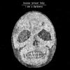 Bonnie 'Prince' Billy : I see a darkness