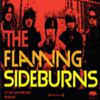 Flaming Sideburns : Let me take you far