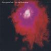 Porcupine Tree : Up the downstair