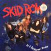Skid Row : In A Darkened Room