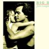 Mellencamp, John : Big Daddy