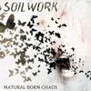 Soilwork : Natural born chaos