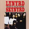 Lynyrd Skynyrd : What's Your Name