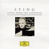 Sting / Karamazov, Edin : Songs from the labyrinth
