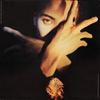 D'arby, Terence Trent : Terence Trent D'Arby's Neither Fish Nor Flesh (A Soundtrack Of Love, Faith, Hope & Destruction)