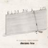 Rice, Damien : My Favorite Faded Fantasy