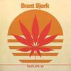 Bjork, Brant : Europe '16
