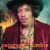 Hendrix, Jimi : Experience Hendrix: the Best of