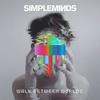 Simple Minds : Walk Between Worlds