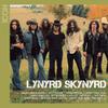 Lynyrd Skynyrd : Icon