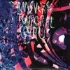 Animal Collective : Transverse Temporal Gyrus