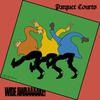 Parquet Courts : Wide awake!