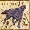Los Lobos : How will the wolf survive