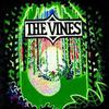 Vines : Highly evolved