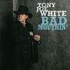 White, Tony Joe : Bad moutin'