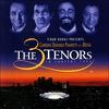 Carreras, Jose / Domingo, Placido / Pavarotti, Luciano : 3 Tenors In Concert 1994