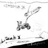 Dinosaur Jr : Ear-bleeding country: the best of