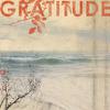 Gratitude : Gratitude