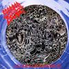 Morbid Angel : Altars of madness
