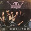 Aerosmith : Dude (Looks Like A Lady)