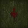 Wardruna : Yggdrasil