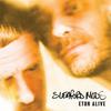 Sleaford Mods : Eton Alive