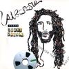 Alborosie / Roots Radics : Meets Roots Radics - Dub For the Radicals