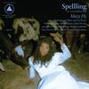 Spellling : Mazy fly