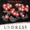 Felice Brothers : Undress