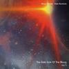Schulze, Klaus / Namlook, Pete : Dark Side of the Moog Vol.5