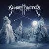 Sonata Arctica : Talviyö