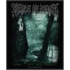 Cradle Of Filth : Dusk and her embrace