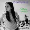 Dinosaur Jr : Green mind