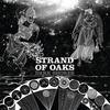 Strand Of Oaks : Dark shores