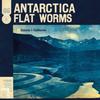 Flat Worms : Antarctica