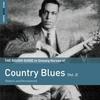 V/A : Rough Guide to Unsung Heroes of Country Blues vol. 2