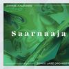 Aaltonen, Juhani / Sointi Jazz Orchestra : Saarnaaja