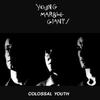 Young Marble Giants : Colossal youth // hurrah, new york,